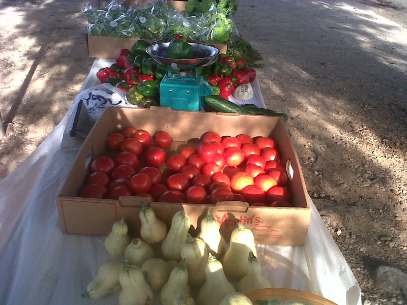 Fresh locally grown vegetables in Anguilla