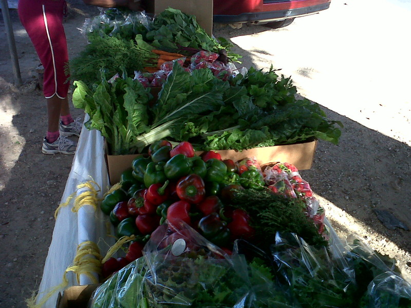Fresh Locally Grown vegetables in Anguilla