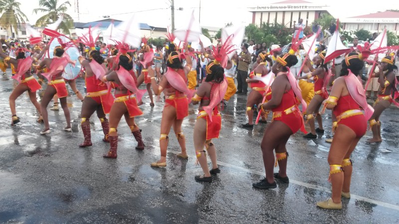 Video of Parade of Troupes 2014